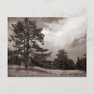 Field and Tree Photo, Hudson, New York Briefkaart
