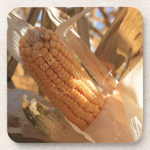 Field Corn op Stalk Drankjes Onderzetter