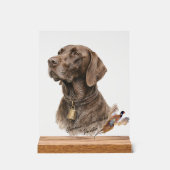 Field & Feather – Braque allemand avec (Recto)