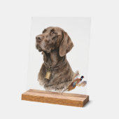 Field & Feather – Braque allemand avec (Angle)