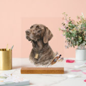 Field & Feather – Braque allemand avec (Mariage)