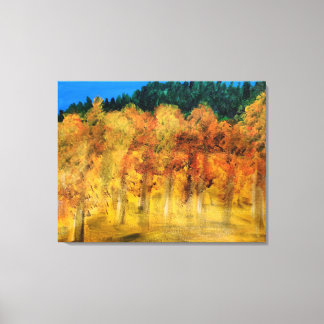 Field of Aspens Canvas Afdruk