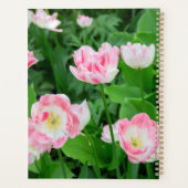 Field of pink tulips (Dos)