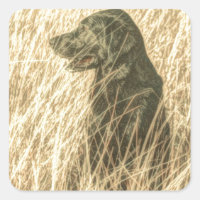 Field Outdoorsman Jagen Hond Puppy Zwart lab