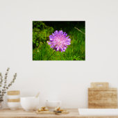 Field Scabious Poster (Keuken)