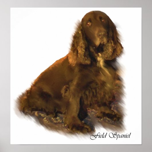 Field Spaniel Kunst Prints (Voorkant)