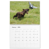 Field Spaniel Wall Agenda Kalender (Feb 2026)
