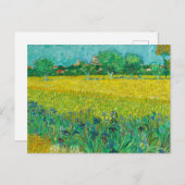 Field with Irises near Arles by Vincent van Gogh Briefkaart (Voorkant / Achterkant)