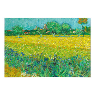 Field with Irises near Arles by Vincent van Gogh Foto Afdruk