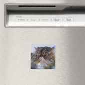 Fier Calico Persian Aimant Chat (In Situ (Lave-vaisselle))
