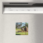 Fier Parents Emu, Aimant Frigo (In Situ (Lave-vaisselle))