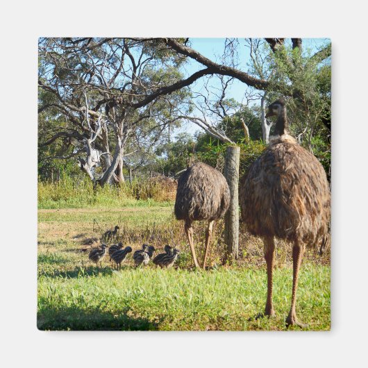 Fier Parents Emu, Aimant Frigo (Devant)