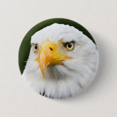 Fierce Bald Eagle Head Patriottische Button (Voorkant)