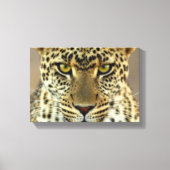 Fierce Leopard Canvas Afdruk (Voorkant)