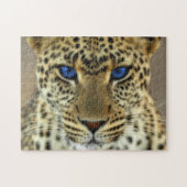Fierce Leopard Legpuzzel (Horizontaal)