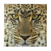 Fierce Leopard Tegeltje (Voorkant)