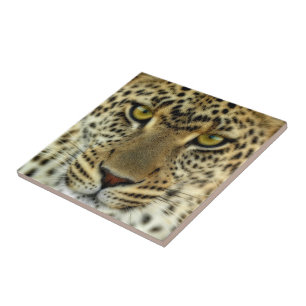 Fierce Leopard Tegeltje