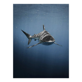 Fierce Ocean Predator – Shark Perfect Poster