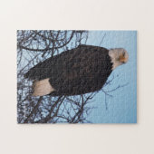 Fierce Stare of a Bald Eagle Legpuzzel (Horizontaal)