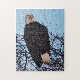 Fierce Stare of a Bald Eagle Legpuzzel
