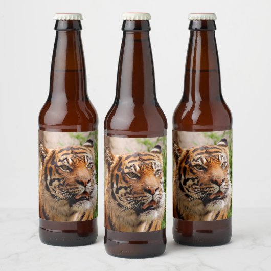 Fierce tijger bier etiket (Flessen)