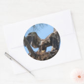 Fierce Young Eagle Stickers (Envelop)