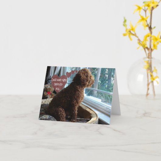 Fière Poodle - Vous Manquez - Carte (Fleur jaune)