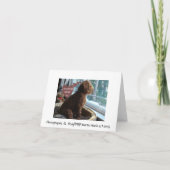 Fière Poodle - Vous Manquez - Carte (Dos)