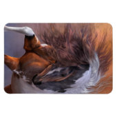 Fiereza Premium Flexi Magnet Magneet (Horizontaal)