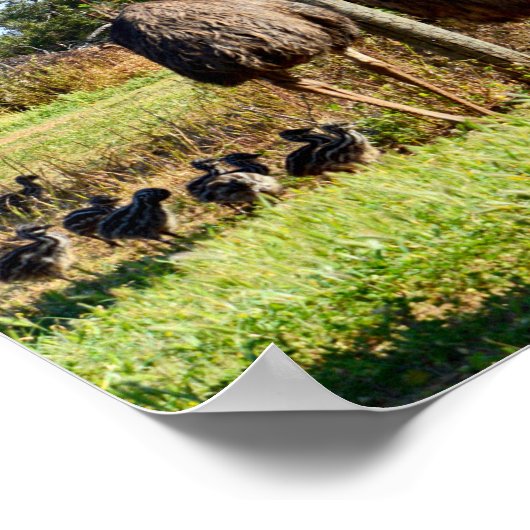 Fiers Parents Emu, Poster (Coin)