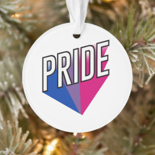 Fierté bisexuelle éclatée