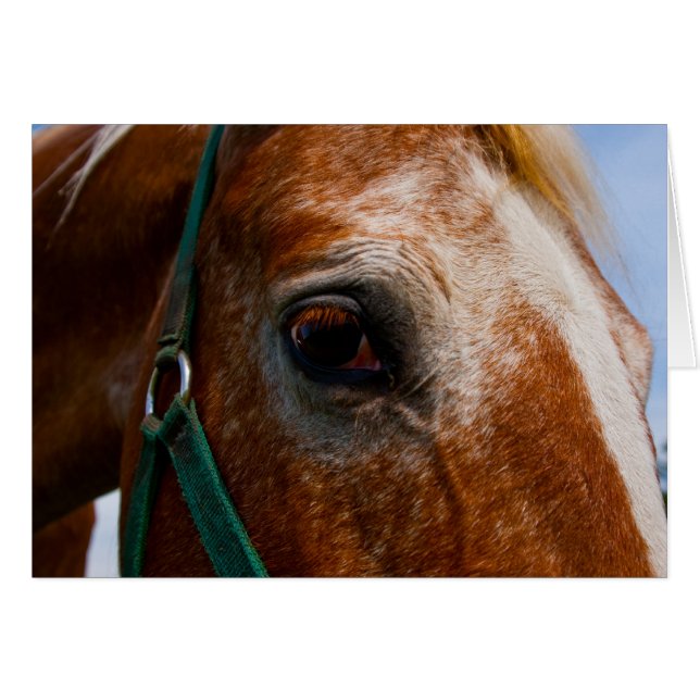 Fiery Eyes (Voorkant Horizontaal)