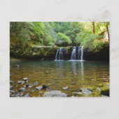 Fiery Gizzard Trail Tennessee Briefkaart (Voorkant)