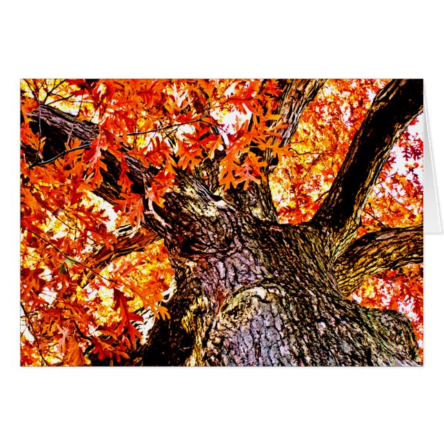 Fiery Oak (Voorkant Horizontaal)