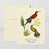 Fiery Topaz Hummingbird Art Briefkaart (Voorkant / Achterkant)