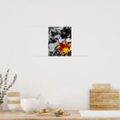 Fiery Tulip Flower Pair Partial Color Poster (Keuken)