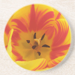 Fiery Tulip Onderzetters