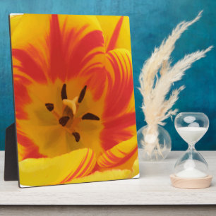 Fiery Tulip Plaque Fotoplaat