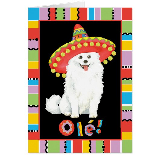 Fiesta American Eskimo Dog (Voorkant)