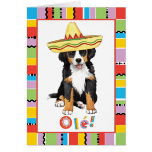 Fiesta Berner Wenskaart