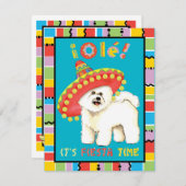 Fiesta Bichon Kaart (Voorkant / Achterkant)