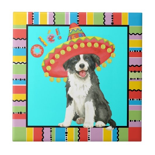 Fiesta Border Collie Tegeltje (Voorkant)
