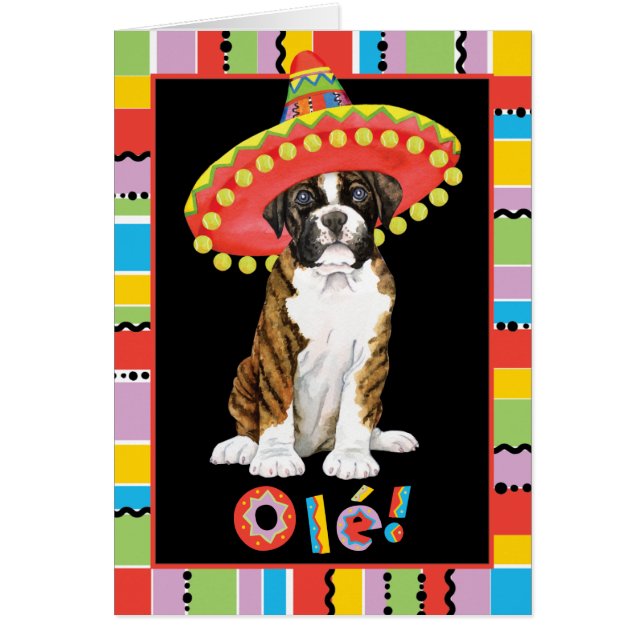 Fiesta Boxer (Voorkant)