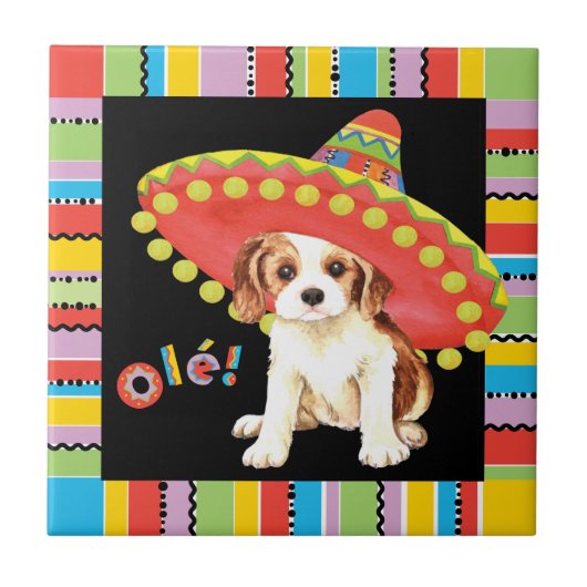 Fiesta Cavalier Tegeltje (Voorkant)