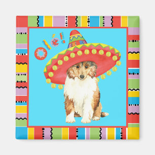Fiesta Collie Magnet Magneet