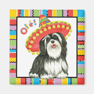 Fiesta Havanese Magneet