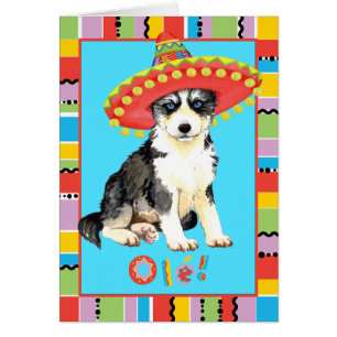 Fiesta Husky Greeting Card