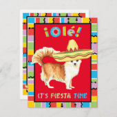 Fiesta Long Coat Chihuahua Kaart (Voorkant / Achterkant)