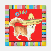 Fiesta Long Coat Chihuahua Magneet (Voorkant)
