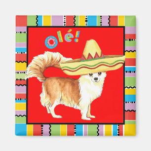 Fiesta Long Coat Chihuahua Magneet